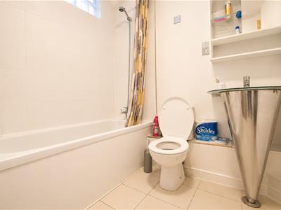 Picture 8
